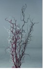 dried flowers d-f127